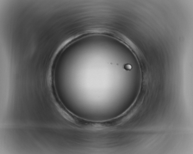 X0000115770787200911201217