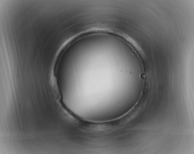 X0000115770791200911201217