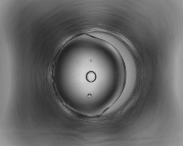 X0000115770793200911201217
