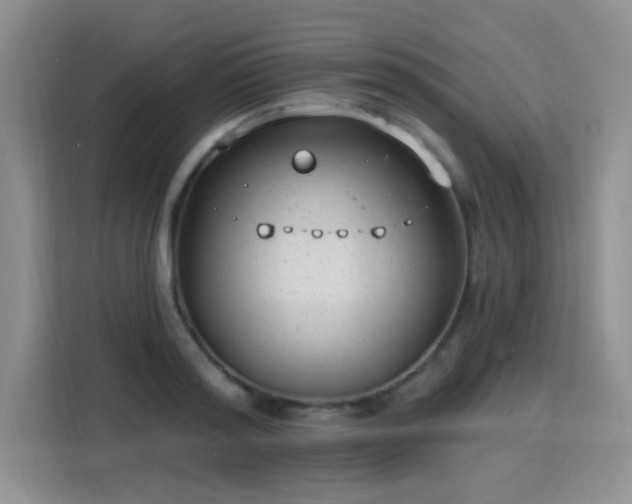 X0000115770796200911201217