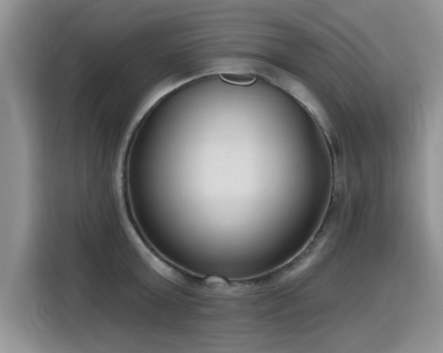 X0000115770803200911201217