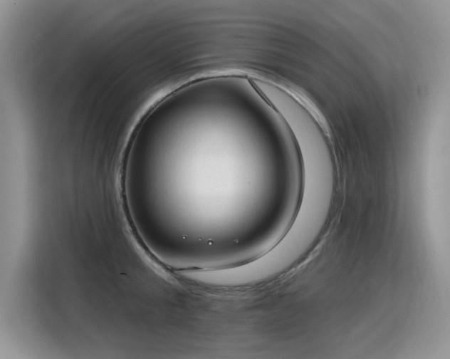 X0000115770805200911201217