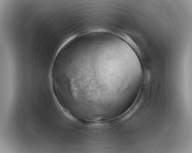 X0000115770806200911201217
