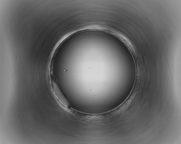 X0000115770808200911201217
