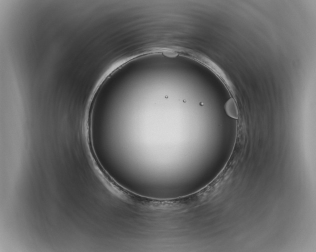 X0000115770811200911201217