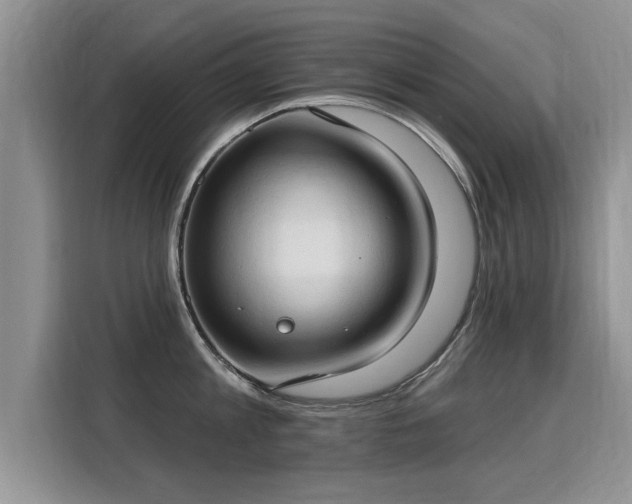 X0000115770813200911201217