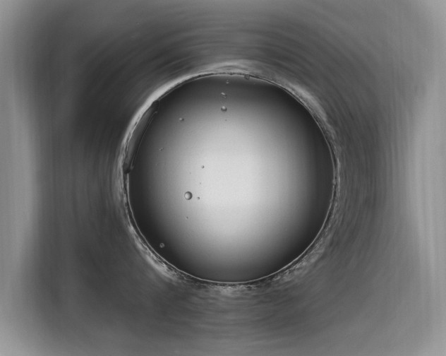 X0000115770816200911201217