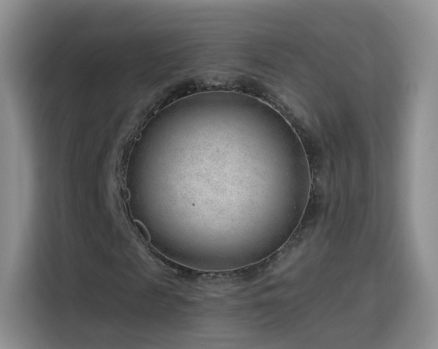 X0000115770817200911201216