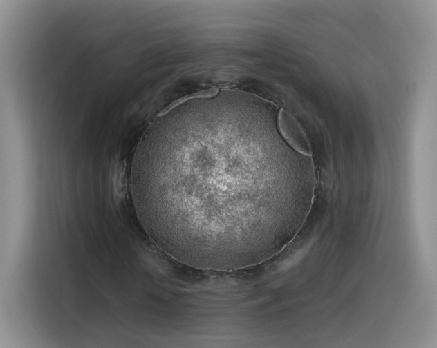X0000115770818200911201216