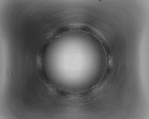 X0000115770819200911201216