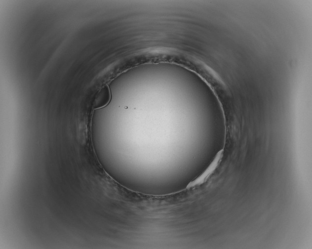 X0000115770821200911201216