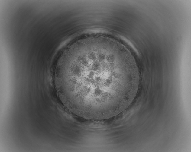 X0000115770823200911201216