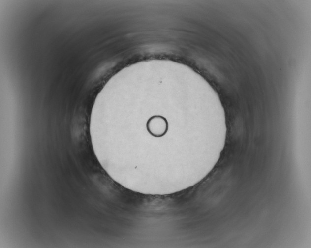X0000115770824200911201216