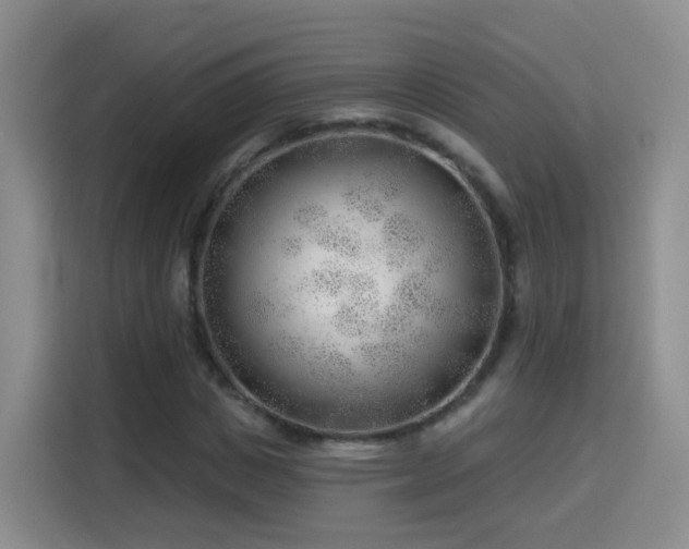 X0000115770825200911201216