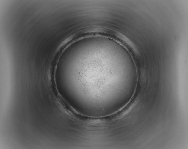 X0000115770826200911201217