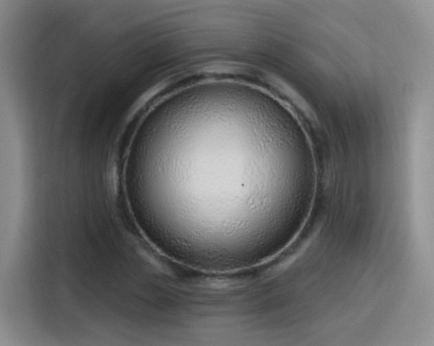 X0000115770829200911201217
