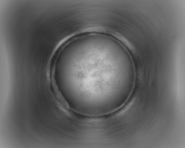 X0000115770830200911201217