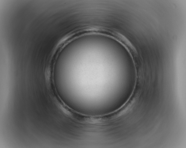 X0000115770831200911201217