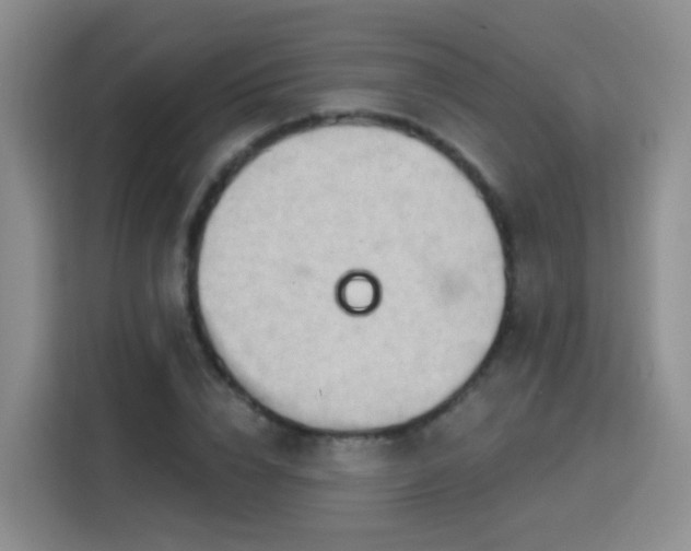 X0000115770832200911201217