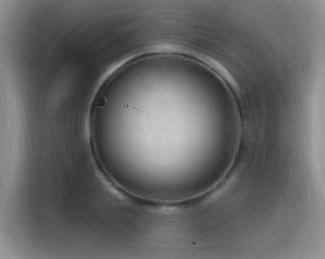 X0000115770839200911201217