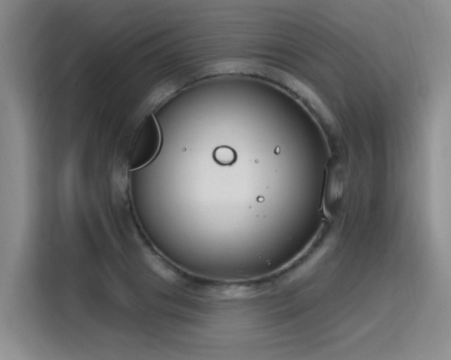 X0000115770841200911201217