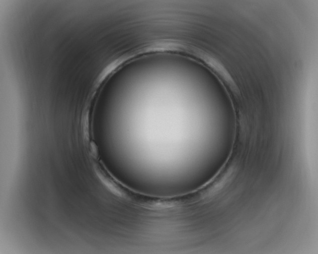 X0000115770842200911201217