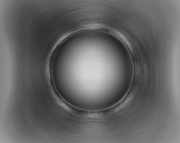 X0000115770843200911201217