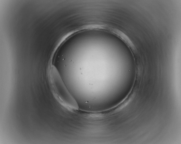 X0000115770844200911201217