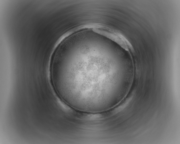 X0000115770845200911201217
