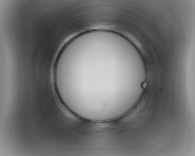 X0000115770848200911201217
