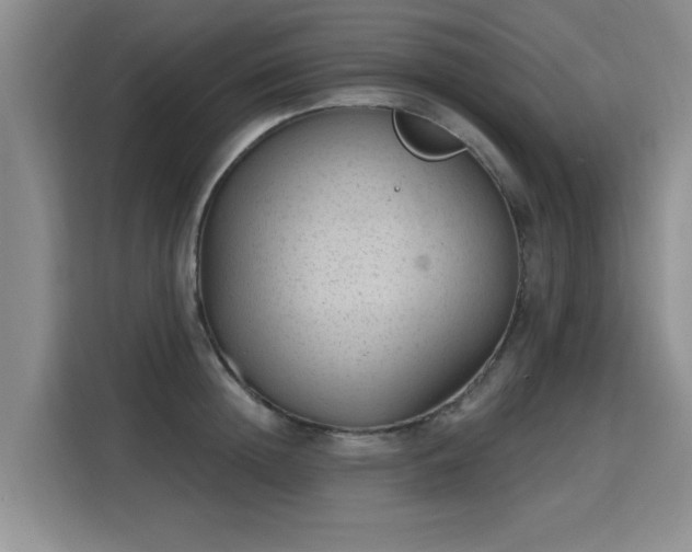 X0000115770852200911201217