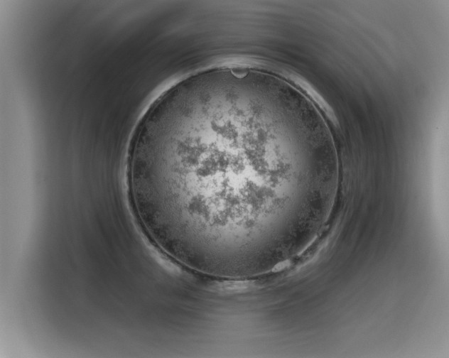 X0000115770853200911201217