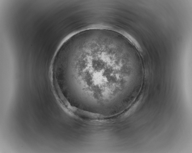 X0000115770854200911201217