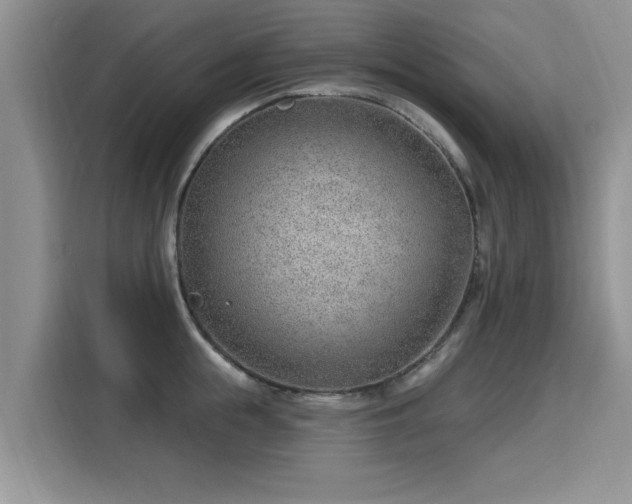 X0000115770855200911201217