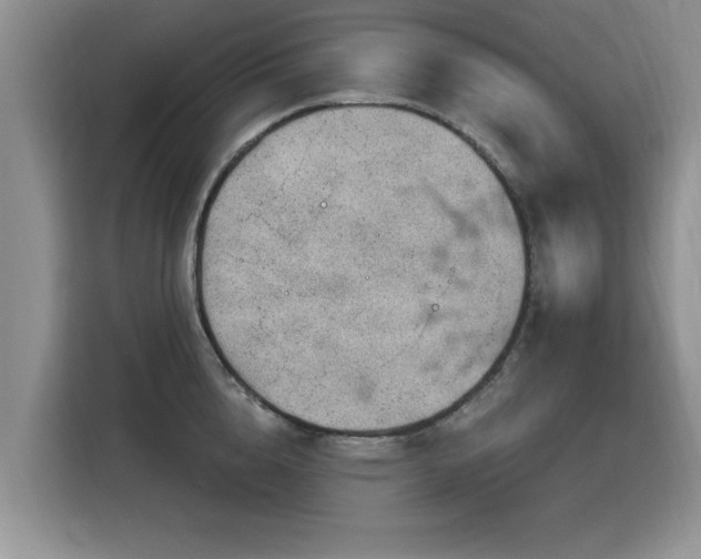 X0000115770856200911201217