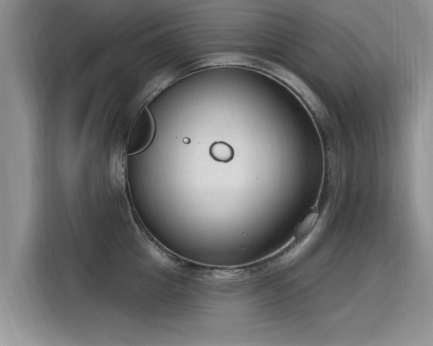 X0000115770857200911201217