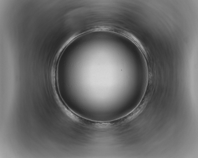 X0000115770859200911201217