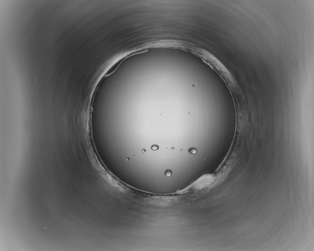 X0000115770860200911201217