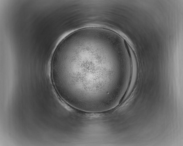 X0000115770862200911201217