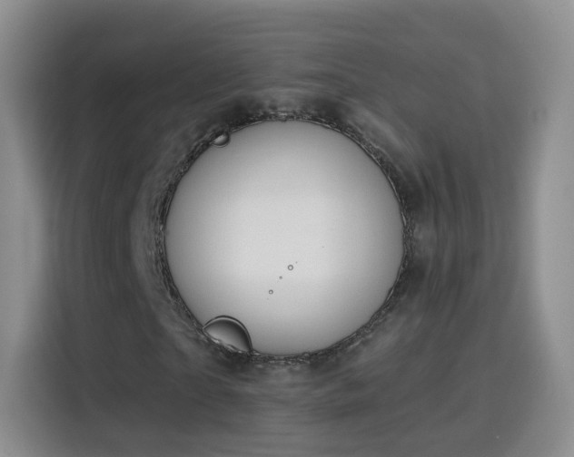 X0000115770865200911201216