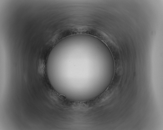 X0000115770866200911201216