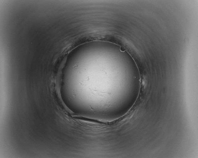 X0000115770867200911201216