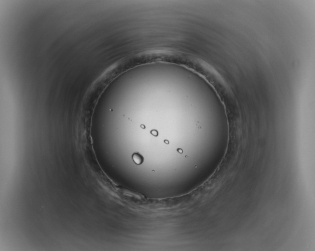 X0000115770872200911201216