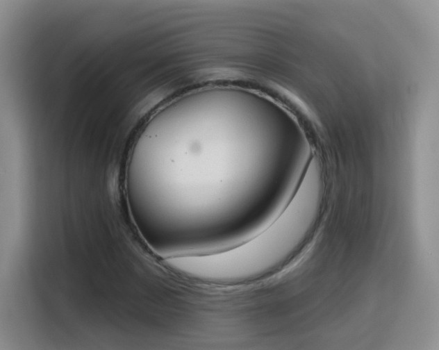 X0000115770873200911201216