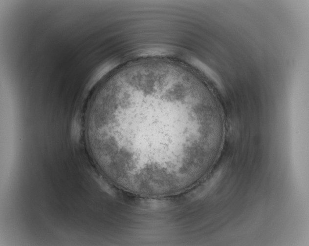 X0000115770874200911201216