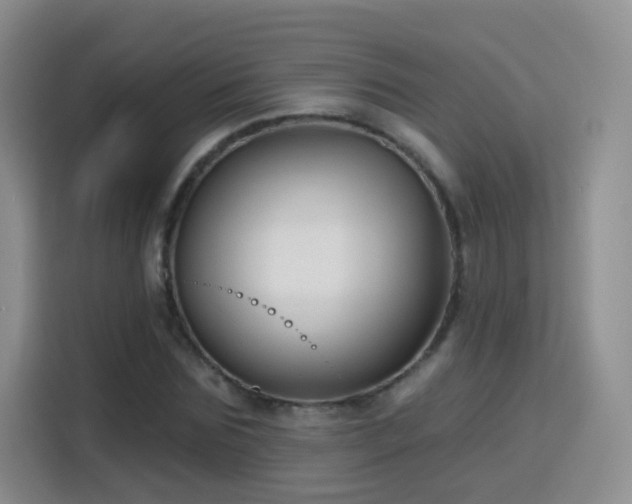 X0000115770875200911201216