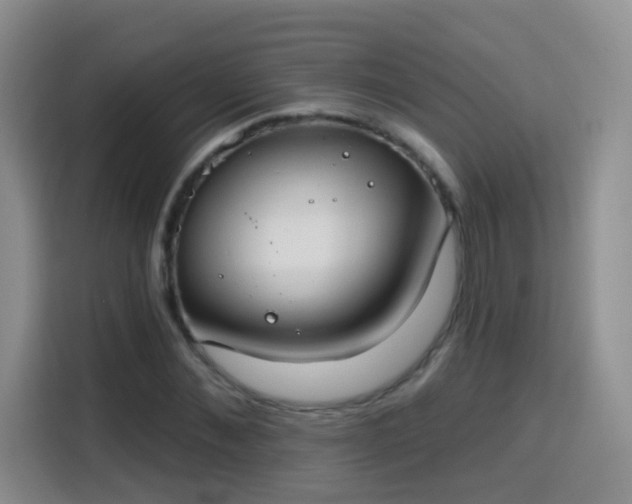 X0000115770876200911201216