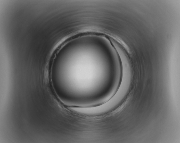 X0000115770877200911201216