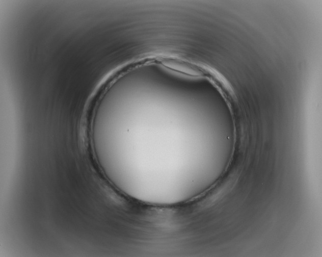 X0000115770878200911201216