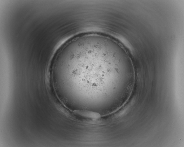 X0000115770879200911201216